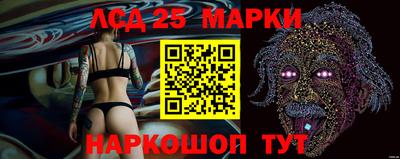 гидропоника Краснознаменск