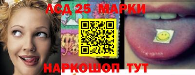 гидропоника Краснознаменск