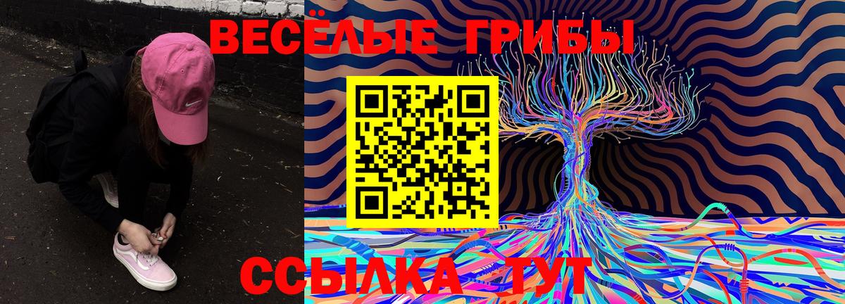 Галлюциногенные грибы Psilocybe  Вход с VPN  Шали 