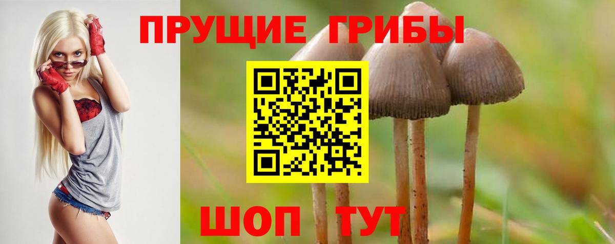 Псилоцибиновые грибы Psilocybe Шали